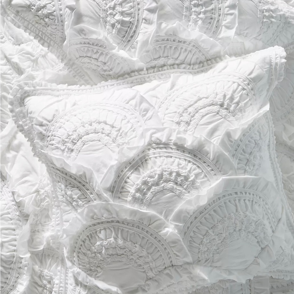 Anthropologie Rivulets Euro Shams White (set of 2)